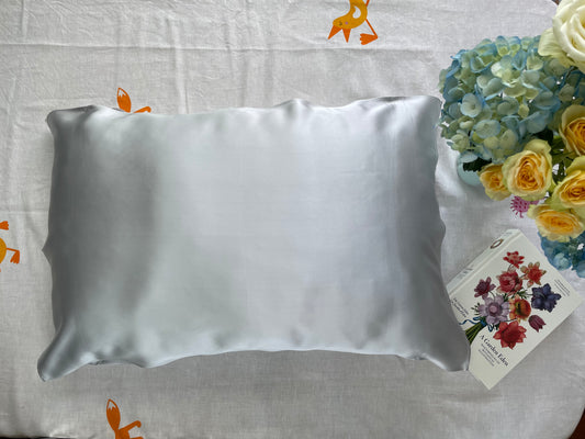 100% Mulberry Silk Travelling Essential Pillow Cover- 19mm portable Silk Pillow Cover-The Silver Grey